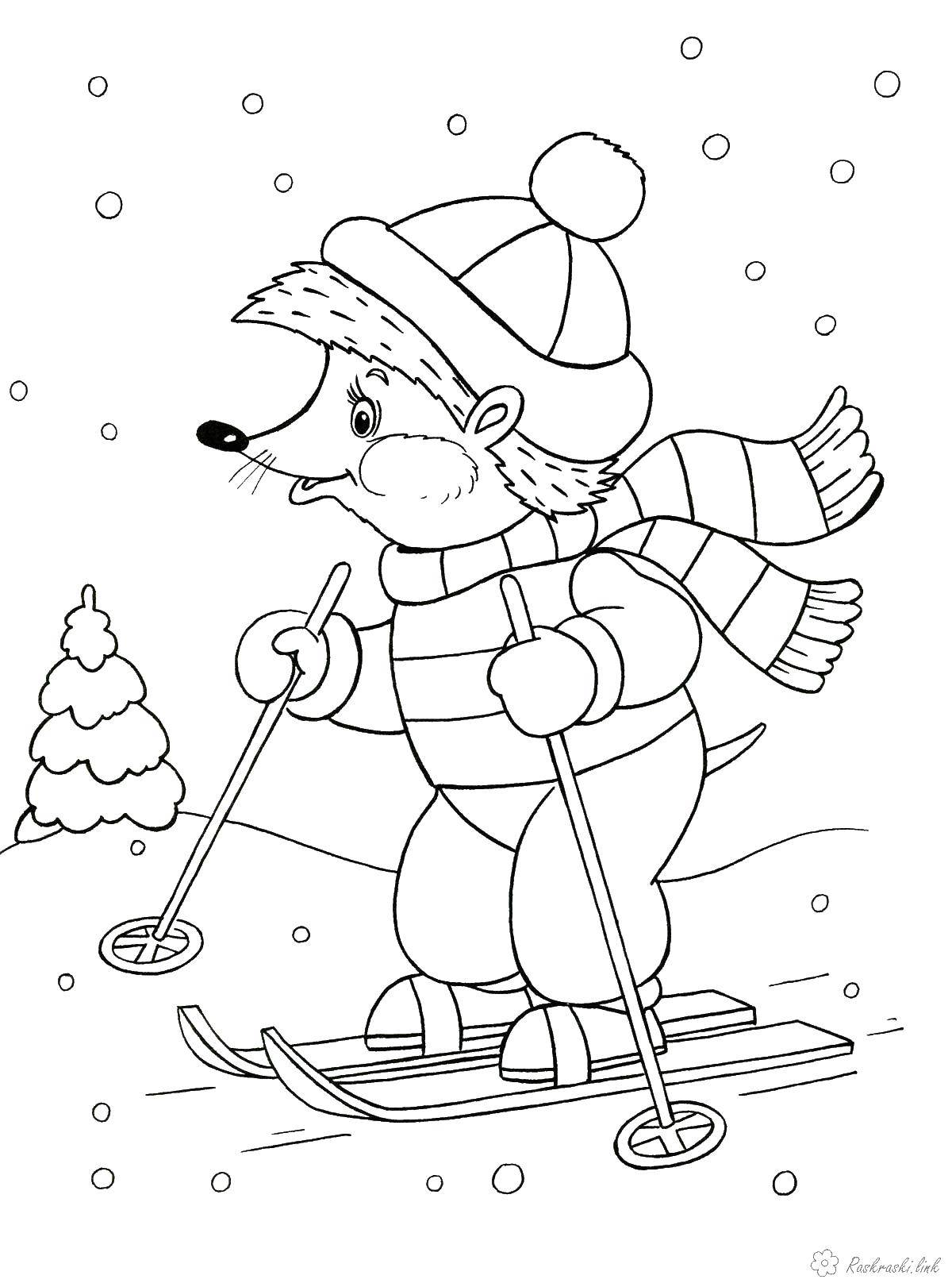 Название: Раскраска Ежик на лыжах. Категория: лыжи. Теги: ежик, лыжи, зима.