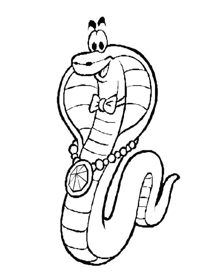 Coloring Cobra smiles. Category coloring for little ones. Tags:  the Cobra , Aurea.