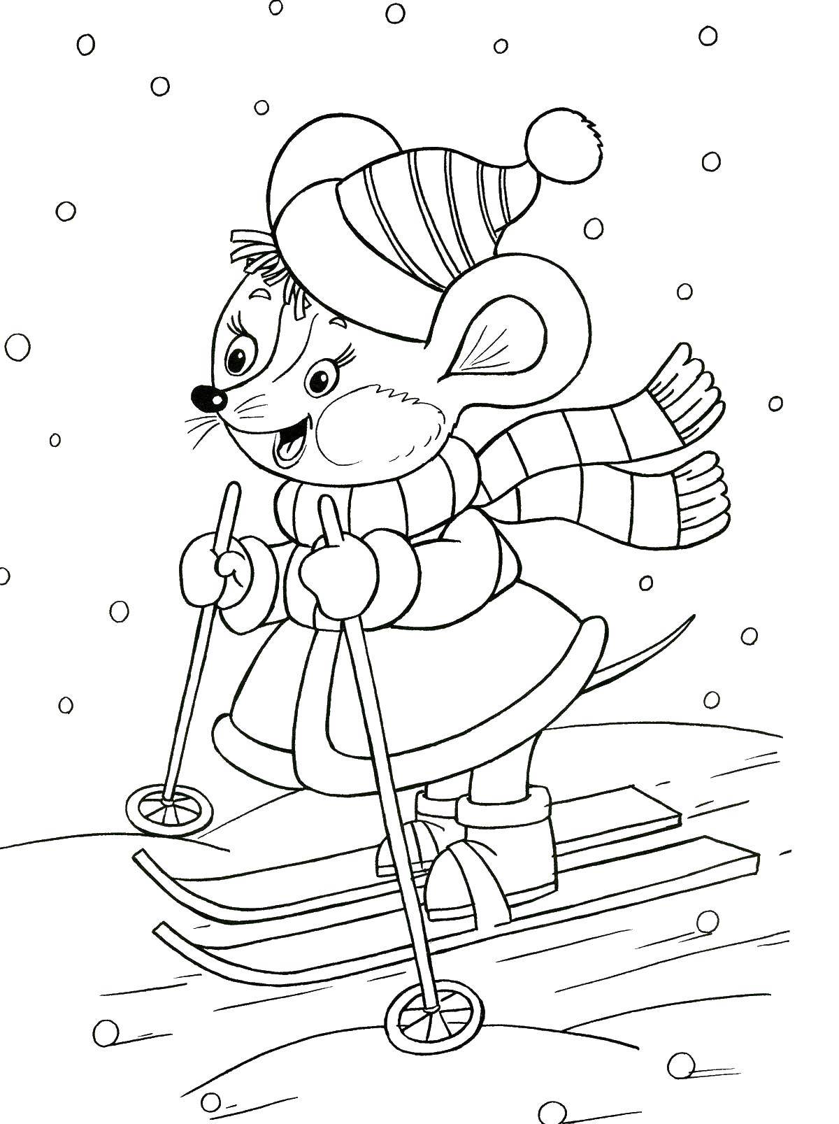 Название: Раскраска Мышка катается на лыжах. Категория: лыжи. Теги: мышка, лыжи.