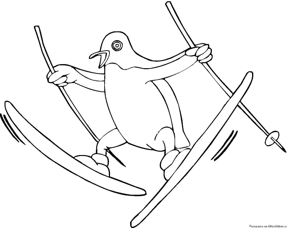 Название: Раскраска Пингвиненок на лыжах. Категория: лыжи. Теги: лыжи, пингвиненок.