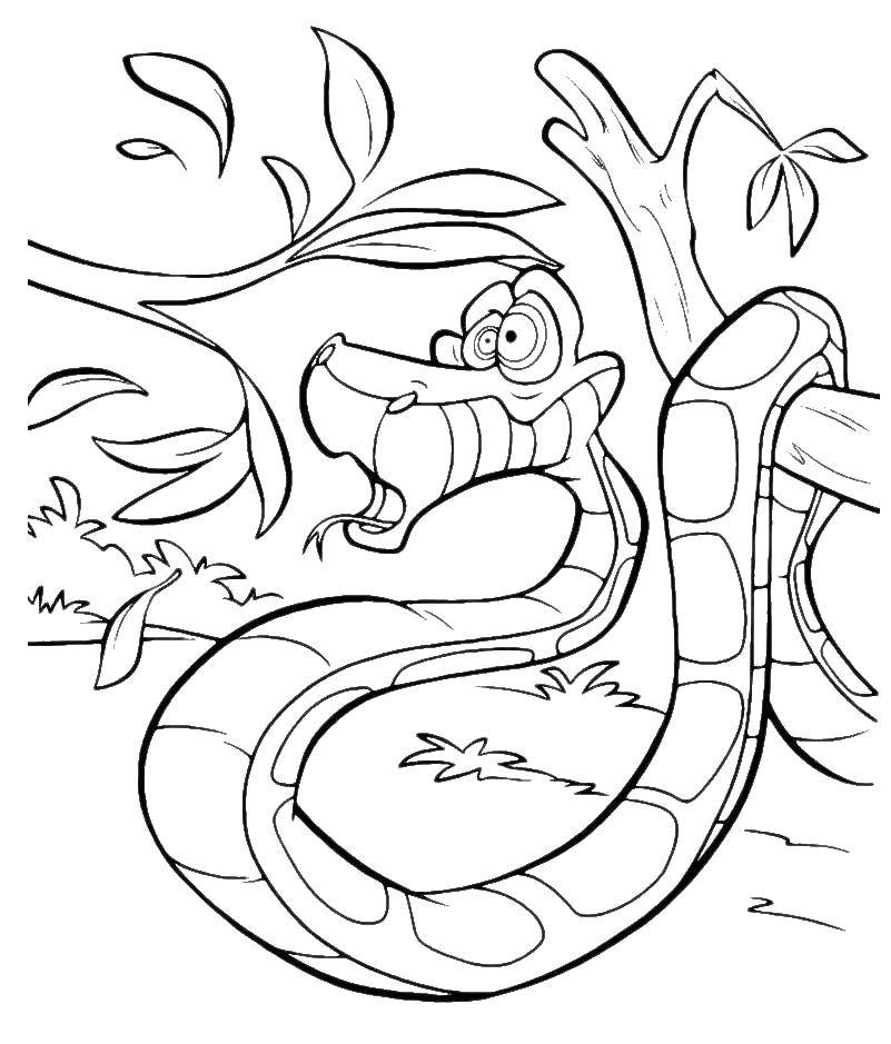 Coloring The snake bumped his head. Category coloring for little ones. Tags:  snake, tree.