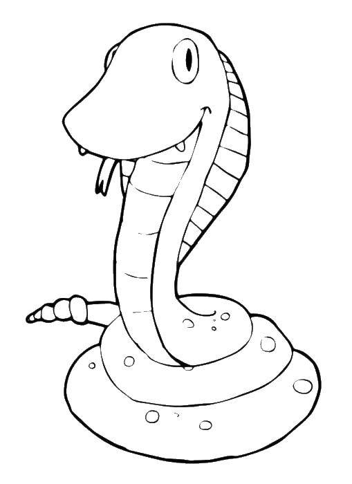 Coloring Toy snake. Category toys. Tags:  toy, snake.