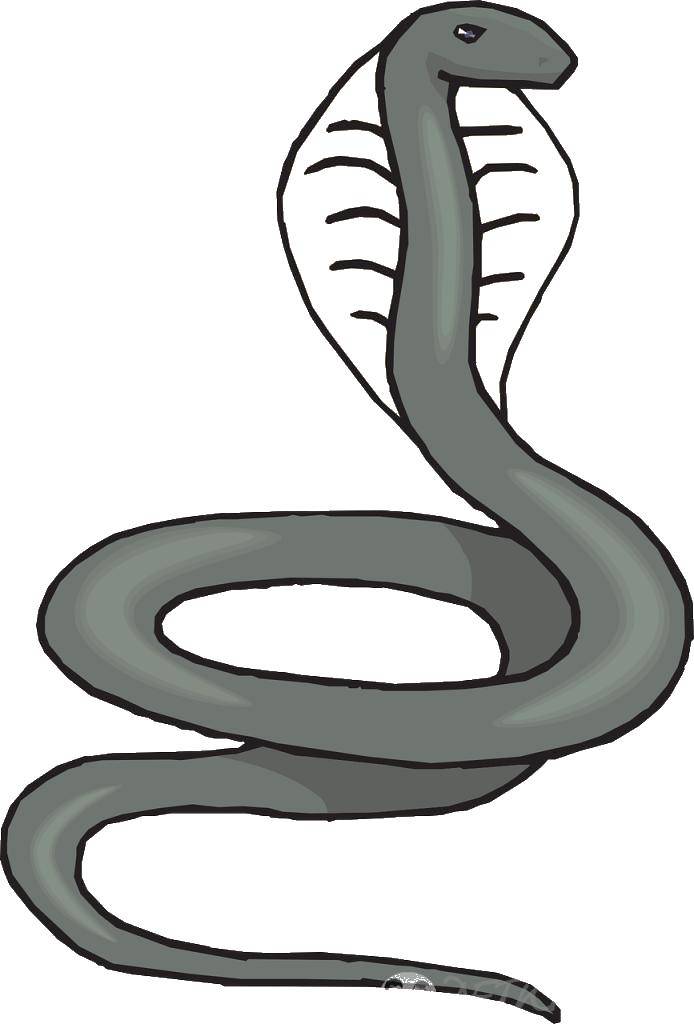 Название: Раскраска Кобра. Категория: змея. Теги: кобра, змея.