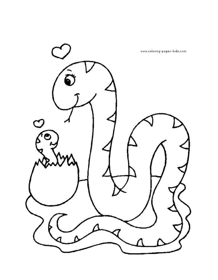 Название: Раскраска Змея и детеныш. Категория: змея. Теги: детеныш, змея.