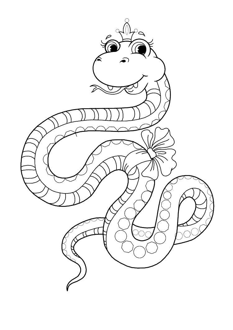 Название: Раскраска Змея царевна. Категория: змея. Теги: змея.