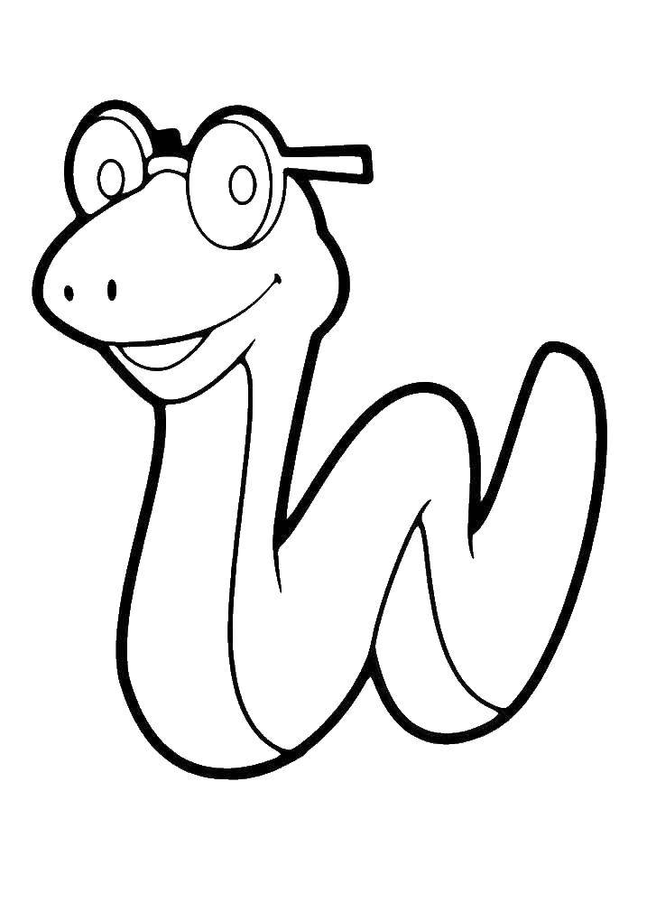 Название: Раскраска Змея в очках. Категория: змея. Теги: змея.