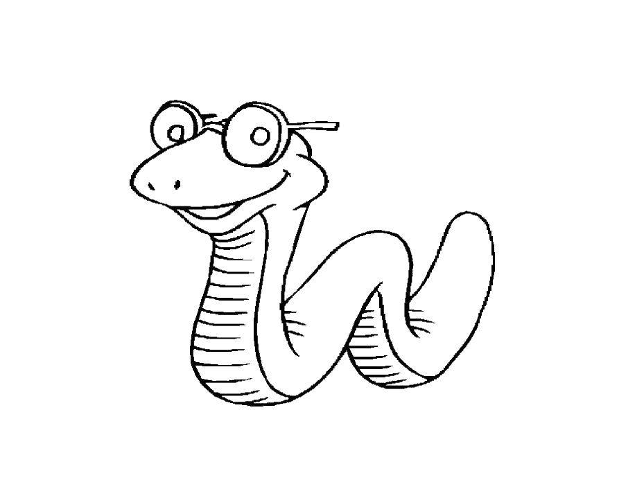 Coloring Snake with glasses. Category the snake. Tags:  the snake.