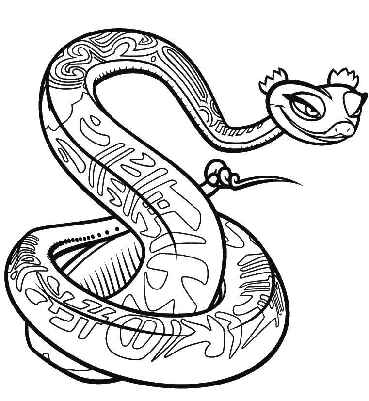 Название: Раскраска Змея. Категория: Персонаж из мультфильма. Теги: змея.