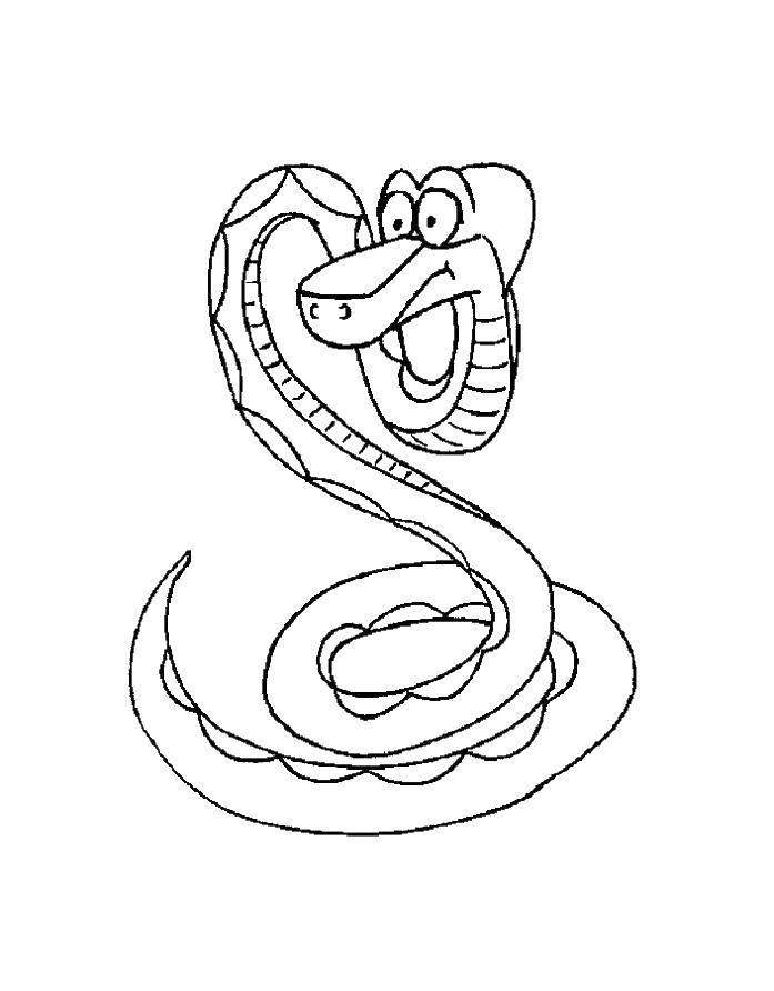 Coloring Snake. Category the snake. Tags:  the snake.