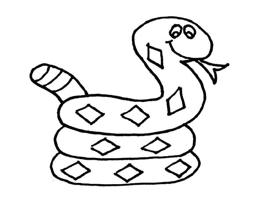 Coloring Snake. Category the snake. Tags:  the snake.