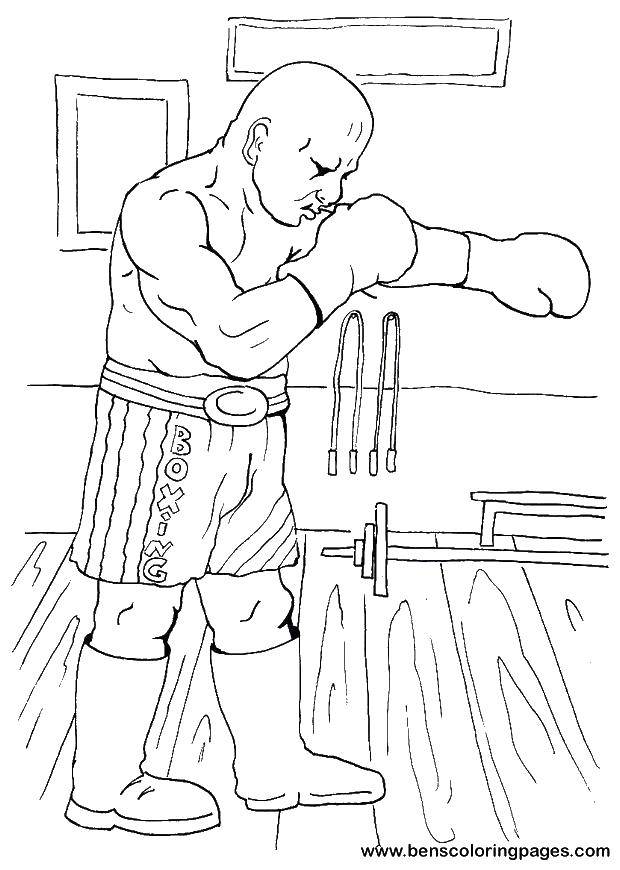 Coloring Boxer. Category Boxing. Tags:  boxer.
