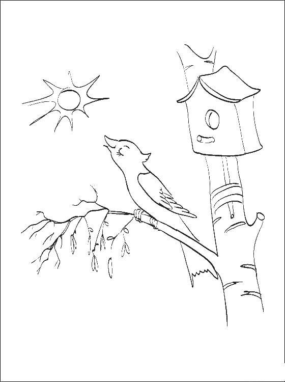 Coloring The birdhouse on the tree. Category birdhouse. Tags:  Birdhouse, birds.