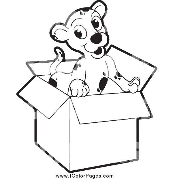 Coloring Toy box. Category coloring. Tags:  toy, box.