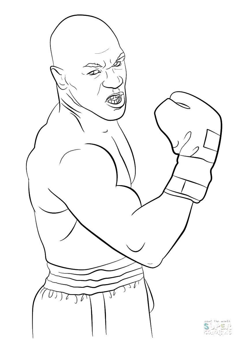 Coloring Boxer. Category Boxing. Tags:  boxer, Boxing.