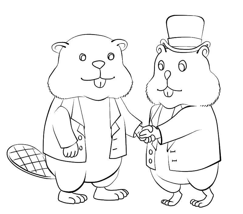 Coloring Hamster and beaver Hello. Category rodents . Tags:  Hamster, gerbil.