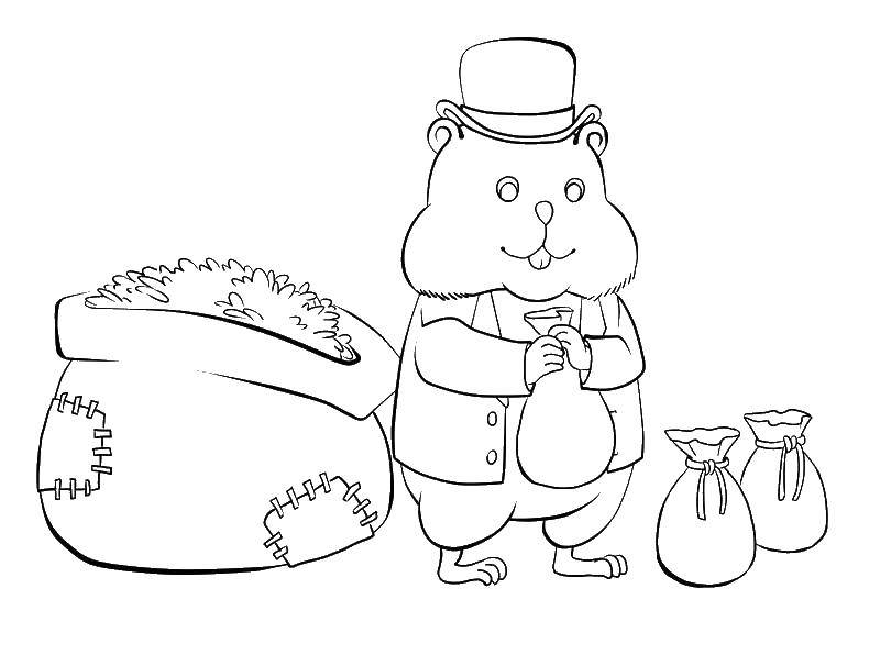Coloring A hamster with full pouches. Category rodents . Tags:  Hamster, gerbil.