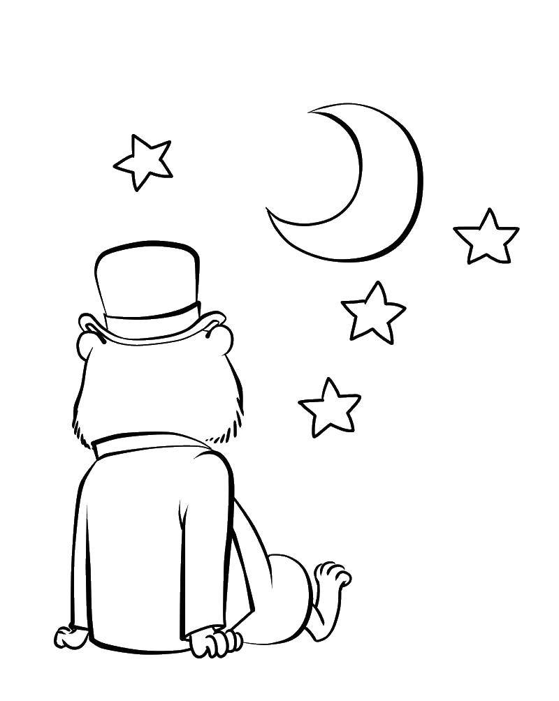 Coloring The hamster looks at the moon. Category rodents . Tags:  Hamster, rodent, crow, moon.