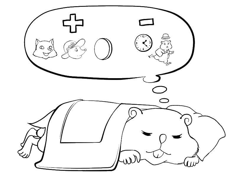 Coloring The hamster is sleeping. Category rodents . Tags:  Hamster, gerbil.