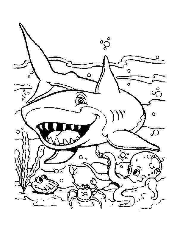 Название: Раскраска Акула и морские животные. Категория: Акулы. Теги: акула, море, животные.
