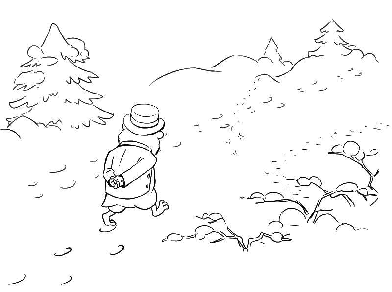 Coloring The hamster goes. Category rodents . Tags:  Hamster, rodent, crow, bear.