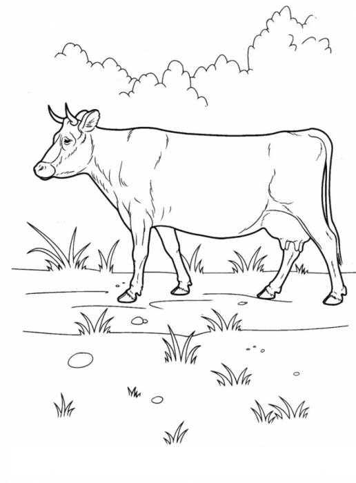 Название: Раскраска Корова на полянке. Категория: домашние животные. Теги: корова, луг.