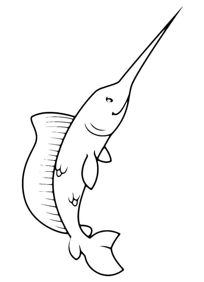 Название: Раскраска Рыба меч. Категория: рыба меч. Теги: рыба меч.