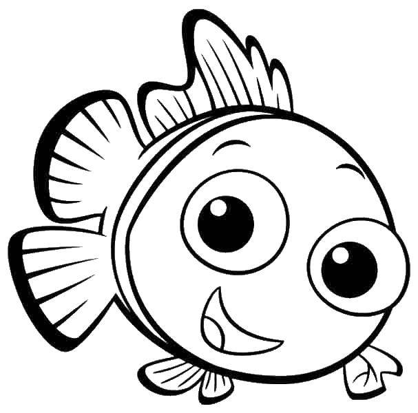 Название: Раскраска Рыбка немо. Категория: Диснеевские мультфильмы. Теги: рыба, немо.