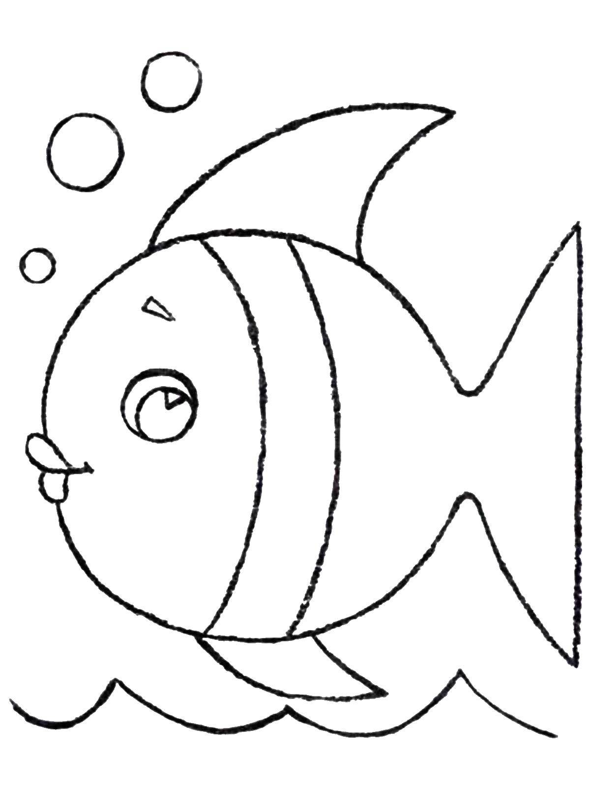Название: Раскраска Рыбка. Категория: рыбы. Теги: рыбы.