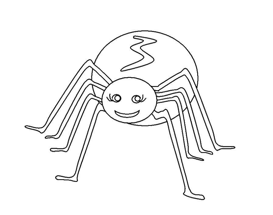 Coloring Spider. Category spiders. Tags:  Spider.