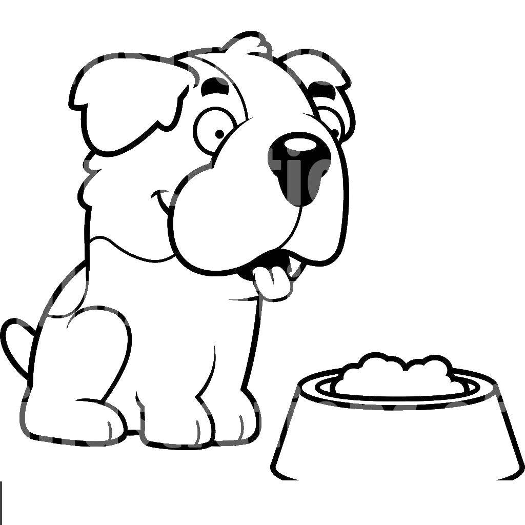 Coloring The dog eats. Category the dog. Tags:  the dog.