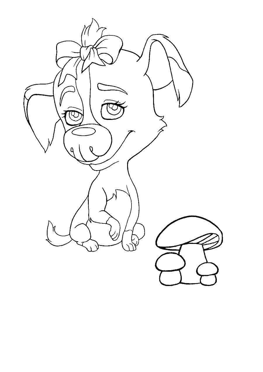 Coloring Dina. Category Belka and Strelka. Tags:  Rex, Dean, Bagel.