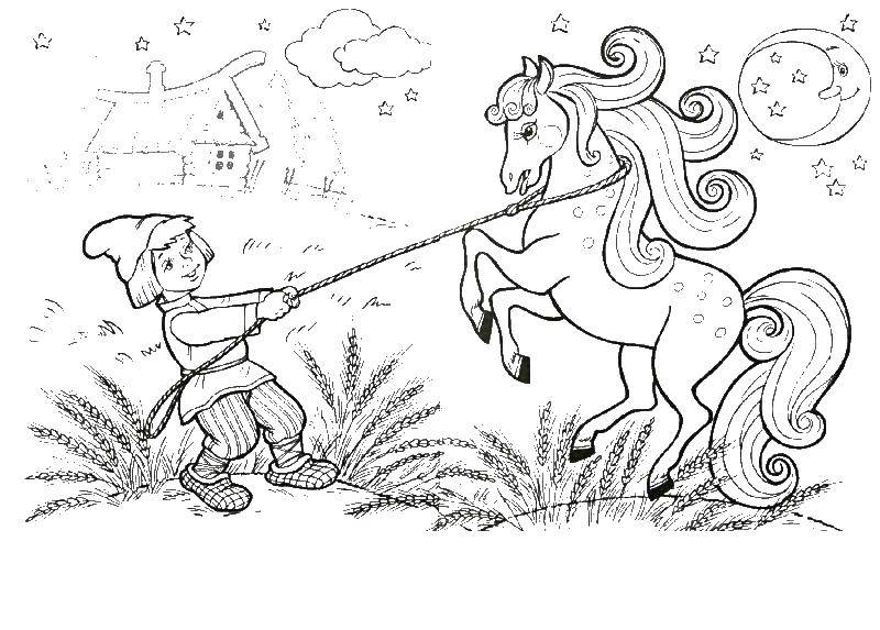 Coloring Ivan the fool caught the horse. Category KONEK Gorbunok. Tags:  KONEK Gorbunok, Ivan the fool.