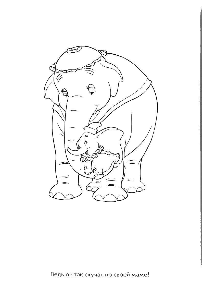 Coloring Dumbo. Category Dumbo. Tags:  Dumbo cartoon, baby elephant.