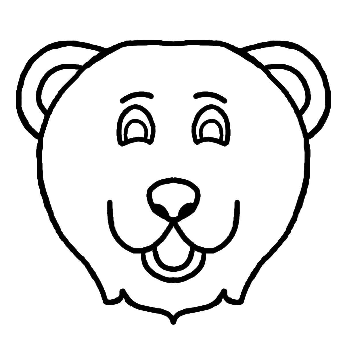 Coloring Bear. Category Animals. Tags:  animals, bears.