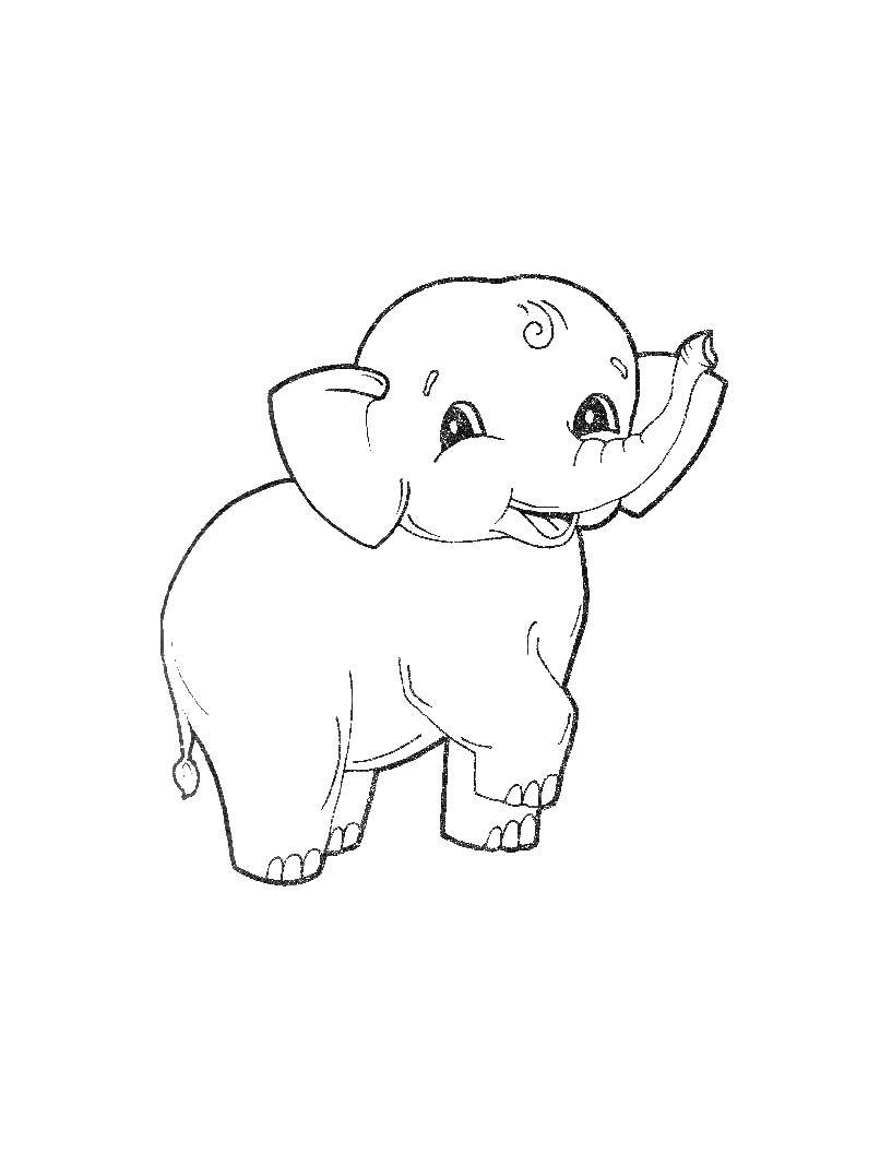 Название: Раскраска Слон. Категория: Животные. Теги: Животные, слоненок.