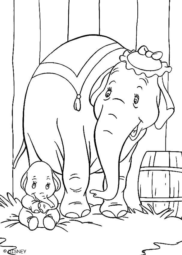 Coloring Baby elephant Dumbo with mom. Category Dumbo. Tags:  Animals, elephant.