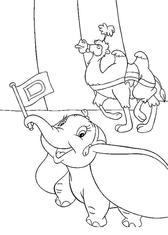 Название: Раскраска Слоненок дамбо. Категория: дамбо. Теги: Дамбо, слон.