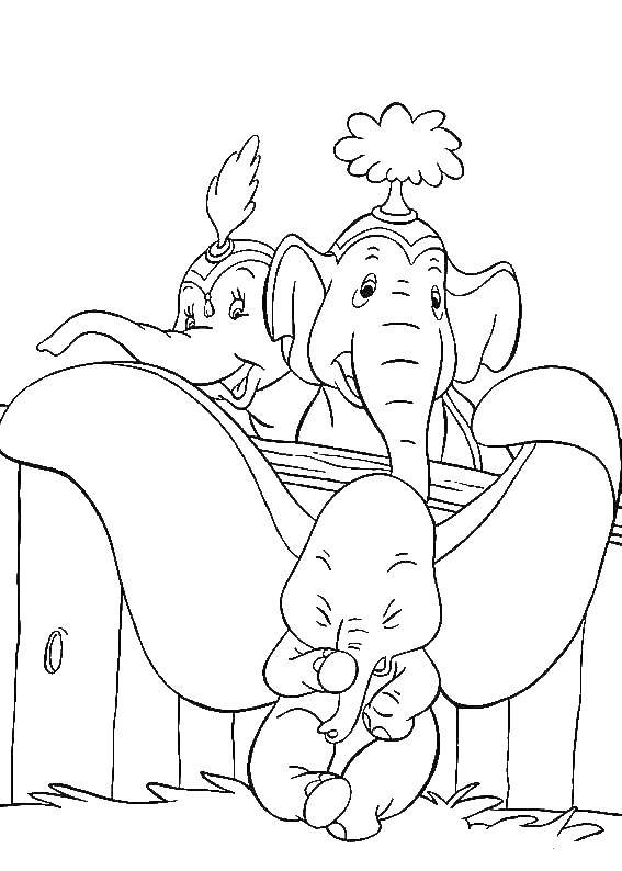 Название: Раскраска Слоненок дамбо. Категория: дамбо. Теги: Слон, Дамбо.