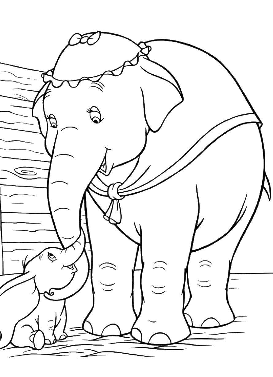 Название: Раскраска Слоненок дамбо. Категория: дамбо. Теги: Животные, слоненок.