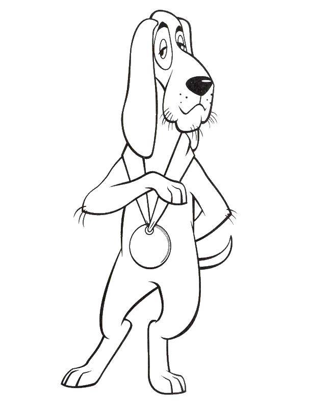Coloring Dog. Category cartoons. Tags:  cartoons, dog, tale.