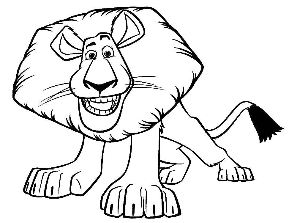 Coloring Alex. Category Madagascar. Tags:  Cartoon character.