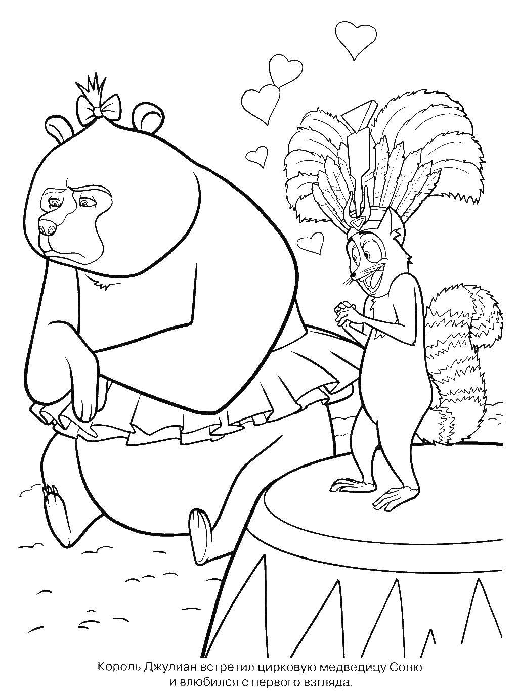 Название: Раскраска Король джулиан и медведица соня. Категория: мадагаскар. Теги: Мадагаскар, Алекс, Джулиан, Соня.