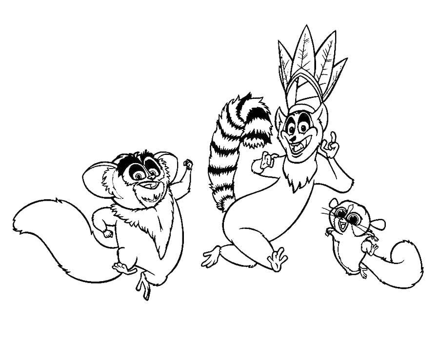 Coloring Lemurs. Category Madagascar. Tags:  Cartoon character.