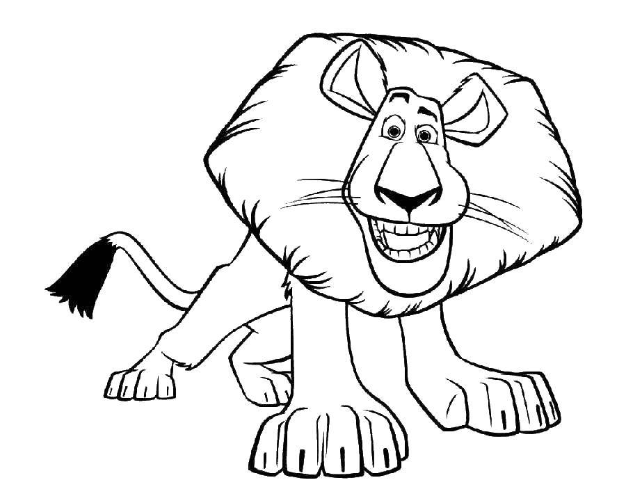 Coloring Alex the lion. Category Madagascar. Tags:  Cartoon character.