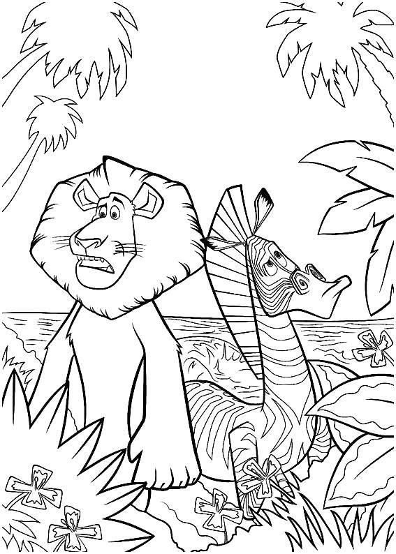 Coloring Lion and Zebra. Category Madagascar. Tags:  Cartoon character.