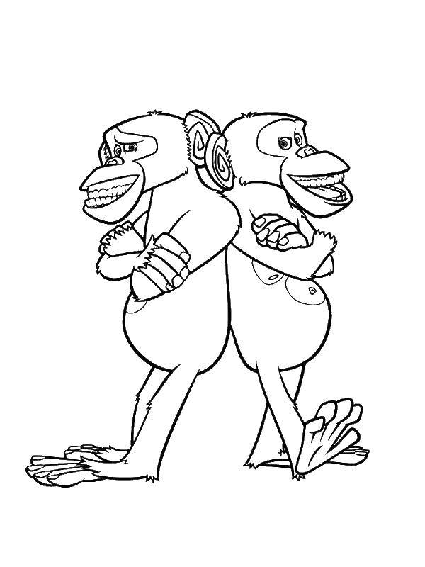 Coloring Madagascar. Category Madagascar. Tags:  Cartoon character.