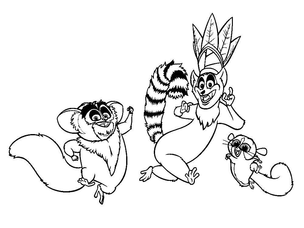 Название: Раскраска Мадагаскар. Категория: мадагаскар. Теги: Персонаж из мультфильма.