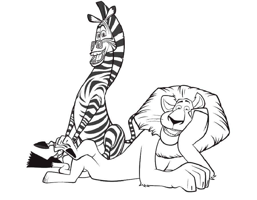 Coloring Marty and Alex. Category Madagascar. Tags:  Cartoon character.