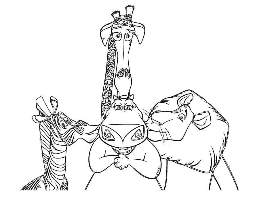 Coloring The cartoon characters of Madagascar . Category Madagascar. Tags:  Cartoon character.