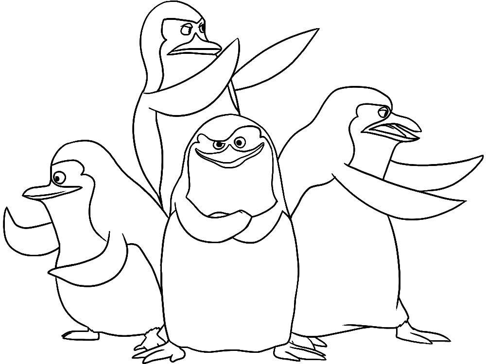 Название: Раскраска Пингвинчики. Категория: мадагаскар. Теги: Персонаж из мультфильма.